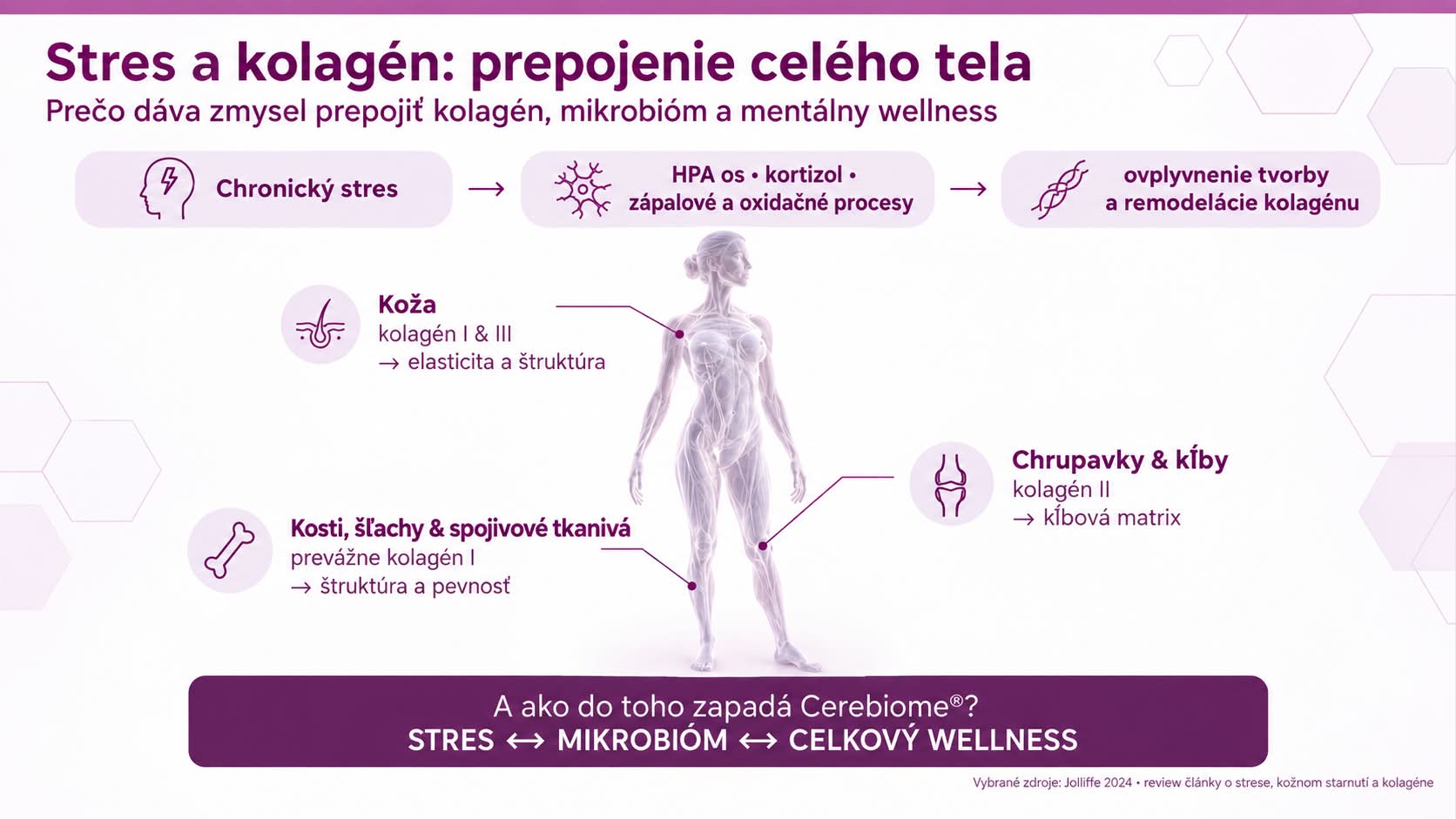 Infografika o strese, kolagéne a mikrobióme s postavou a šípkami, fialové texty a ikony.